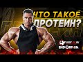 Что такое протеин?
