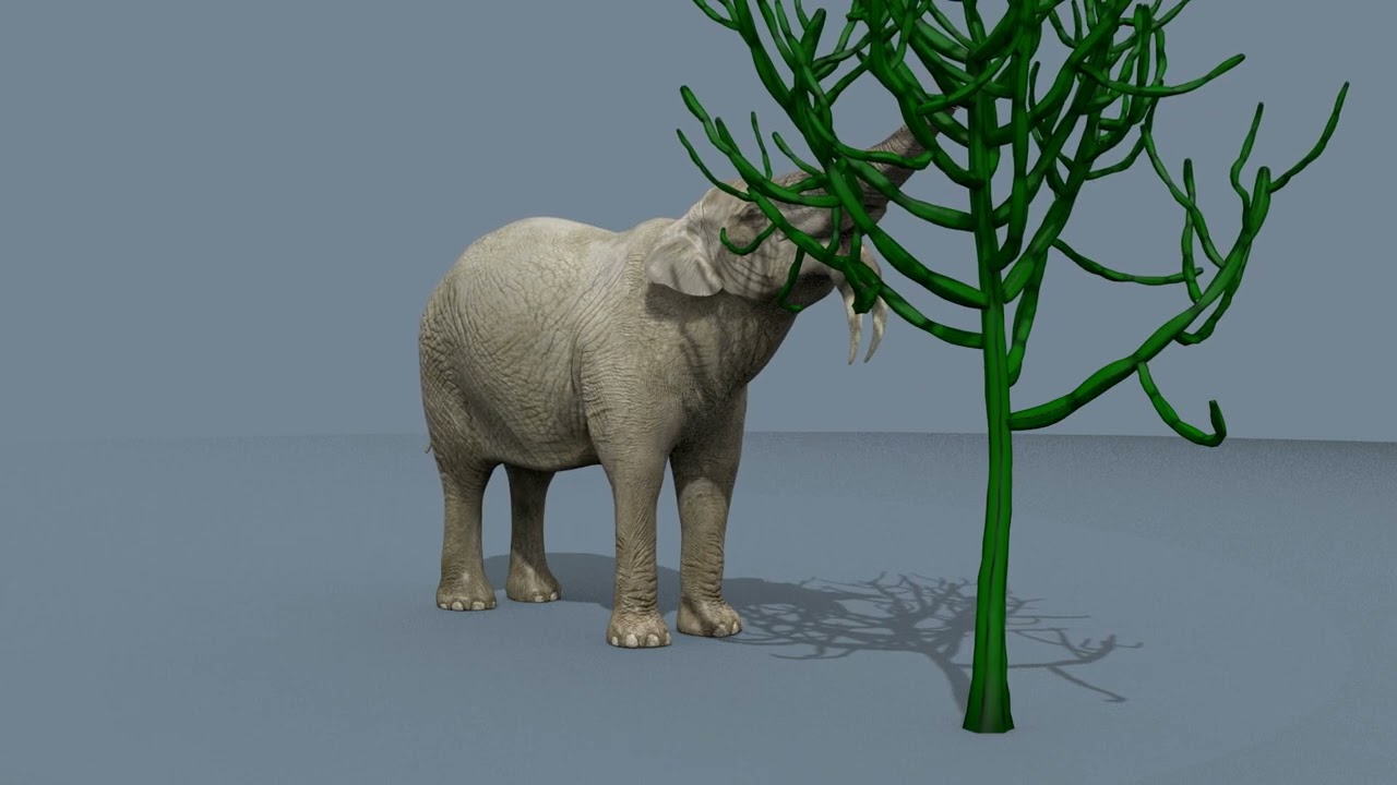 Deinotherium Thraceiensis HD - animazione 3D Modello 3D