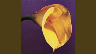 Can't Find My Way Home