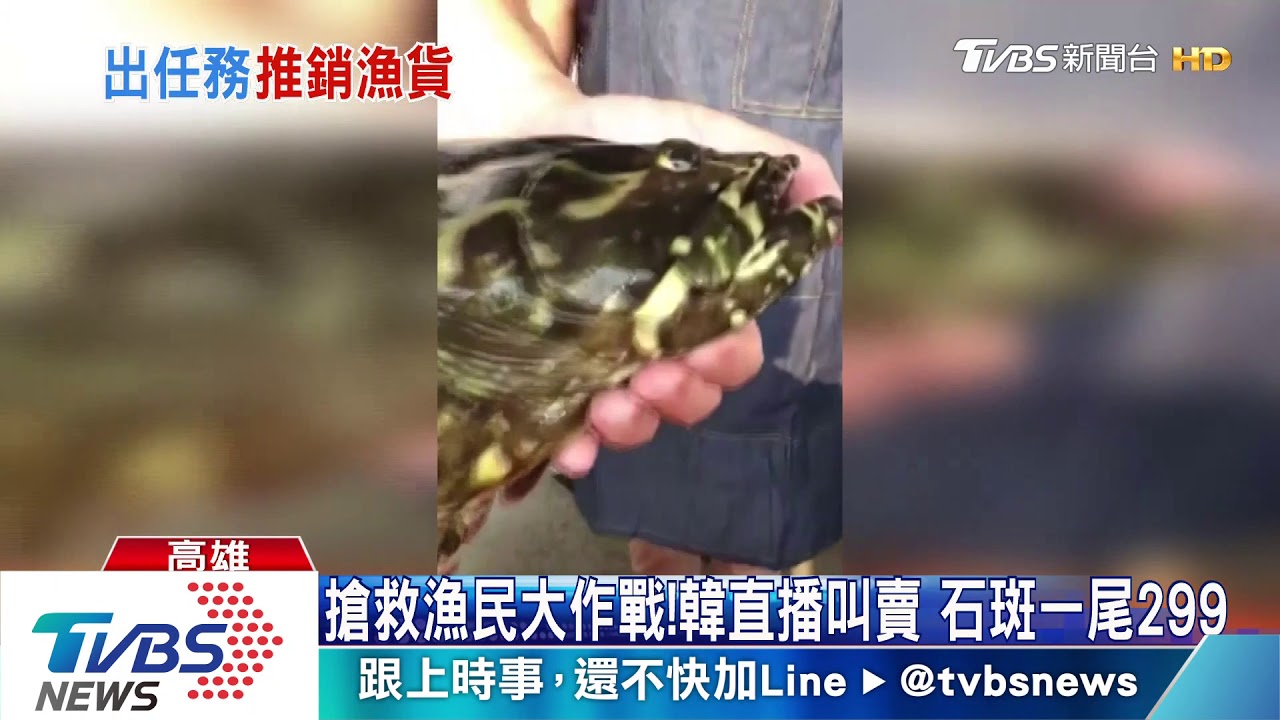 救漁民賣石斑 韓下廚:被政治耽誤的好廚師