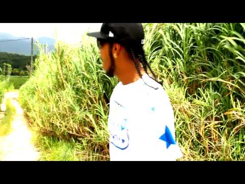 OBLIK - BUTTERFLY CLIP 2011