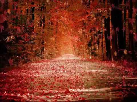 AS 10 MELHORES   VOZ DA VERDADE   Vol  01