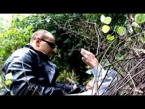 Duzoe vs. Atte187-16tel.Finale RR Konter - VBT 2011