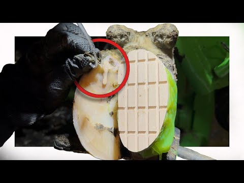 Expect the UNEXPECTED!!!