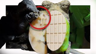 Expect the UNEXPECTED!!!