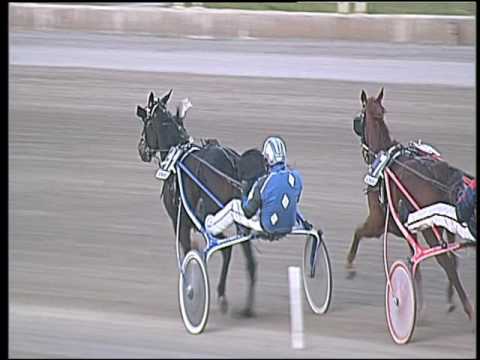 Trotto 28/10/2016 - 6ª corsa