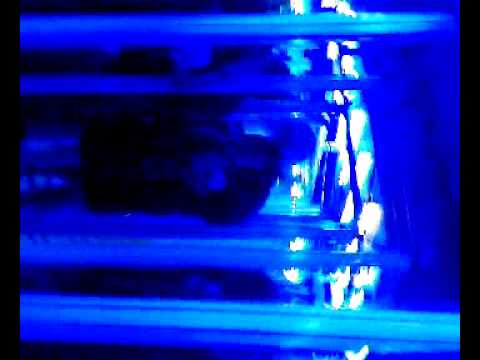 oilsjt carnaval 2009, lichtelijk aangeschoten int spiegelpaleis