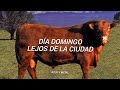 Almafuerte - Toro y pampa // Letra