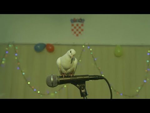 Let 3 feat. Vuco & El Combo – Golub Vaso