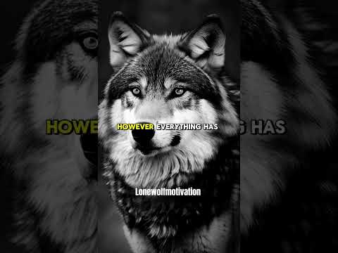 When you see someone always calm - Lone Wolf Motivation
