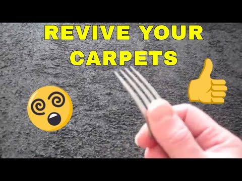 download lagu mp3 mp4 How To Make Carpet Fluffy Again, download lagu How To Make Carpet Fluffy Again gratis, unduh video klip How To Make Carpet Fluffy Again