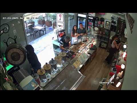 Reggio Calabria, le immagini delle telecamere che riprendono il furto di mance sul Corso Garibaldi