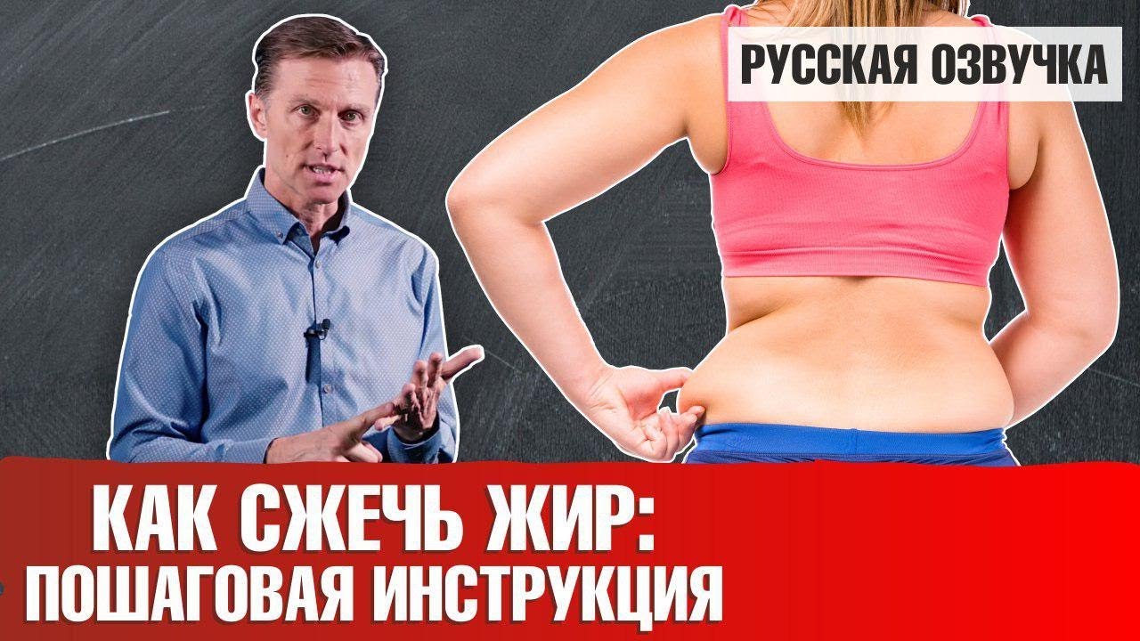 Как сжечь жир: пошаговая инструкция 📣