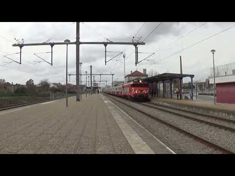 CP 2610 com comboio especial APAC Nº13537