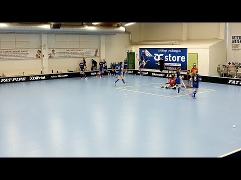 BTSM Karsinta, EräViikingit - Blue Fox, Mosa