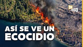 ECOCIDIO en CHUBUT: GREENPEACE documentó el daño de los INCENDIOS FORESTALES y reclama MÁS RECURSOS
