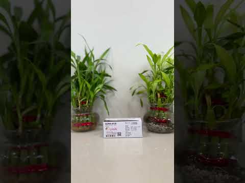 Isoxsuprine hydrochloride tablet (isonik-40 sr), 40 mg