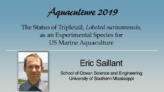 Download Lagu Eric Saillant: Tripletail, Lobotes surinamensis, Aquaculture Thumbnail