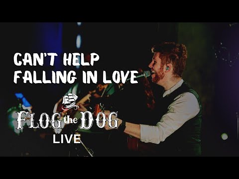 Can't Help Falling In Love (LIVE) - Flog The Dog Wedding Band Ireland