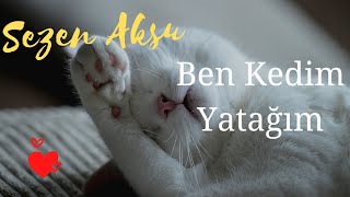 Ben Kedim Yatağım - Sezen Aksu (subtítulos en español)