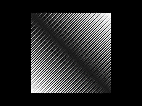 The Vacant Lots - Fracture