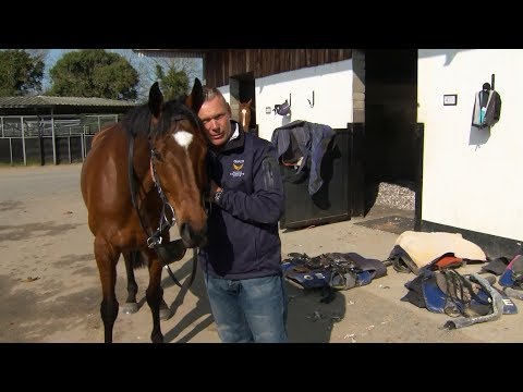 Tiger Roll | 2019 Grand National glory awaits