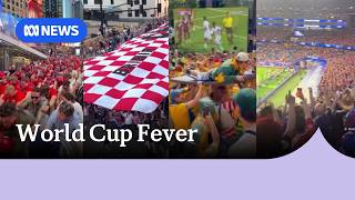 Best of World Cup fever on social media | ABC NEWS