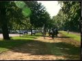 Riding Stables
