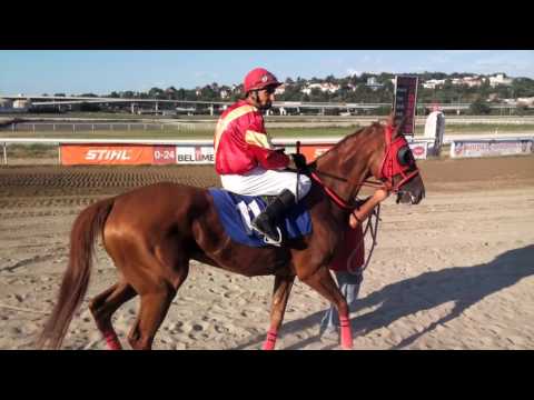 95. SRPSKI GALOPSKI DERBY Parada ucesnika