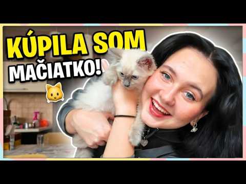 Kúpila som rodičom MAČIATKO ako PREKVAPENIE 🐱