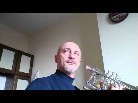 Trumpet Schagerl "Raven" Test