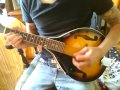 Rose Tattoo - Dropkick Murphys (mandolin cover ...