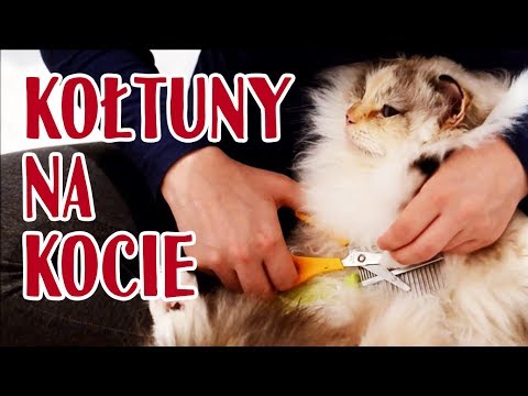 Przy stosowaniu maski do włosów Maska do włosów z witaminą w jaki często można zrobić