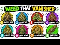 The legendary weed strains that don't exist anymore