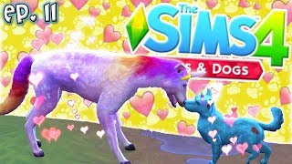 Unicorn Puppies!! - The Sims 4: Raising YouTubers PETS - Ep 11 (Cats & Dogs)
