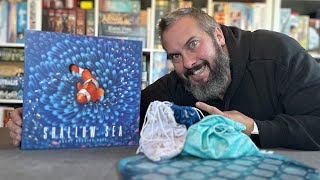 Shallow Sea video thumbnail