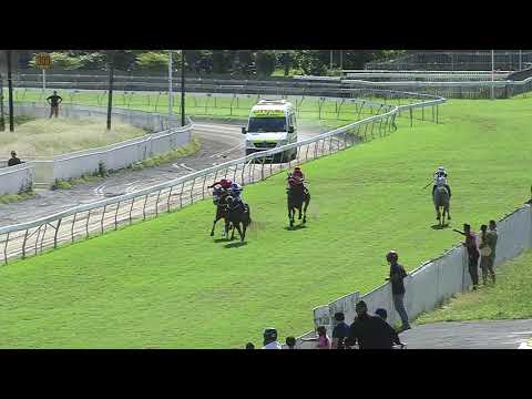 25ème journée - Race 5 - Frosted Gold