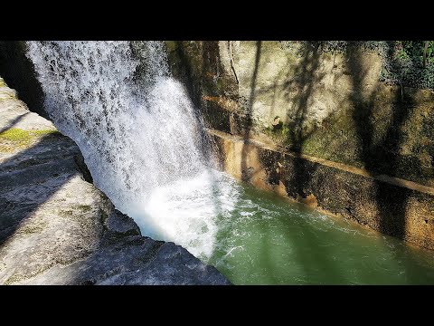 madih / ولد حبيبي - Harmony Band