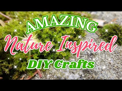UNIQUE DIY Nature Crafts: Turn Forest Finds into Beautiful Crafts