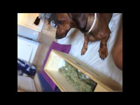 EL FRODO Y FRANCHU - AGUAS TURBIAS