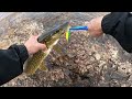 Video Thumbnail for Insane pike fishing off a big rock 