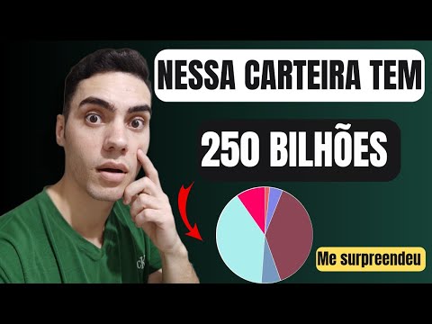 ANALISANDO A CARTEIRA DOS MAIORES INVESTIDORES!