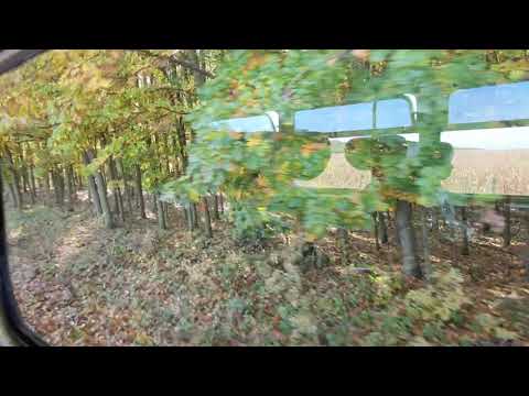 Vonatozás Somogyszob és Nagyatád között (2020.10.26)