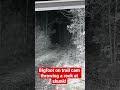 Bigfoot on Trail Camera Throwing a Rock at a Skunk! | Squatch Watchers Short Rewind