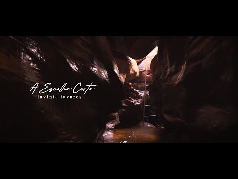 A Escolha Certa   Lavínia Tavares