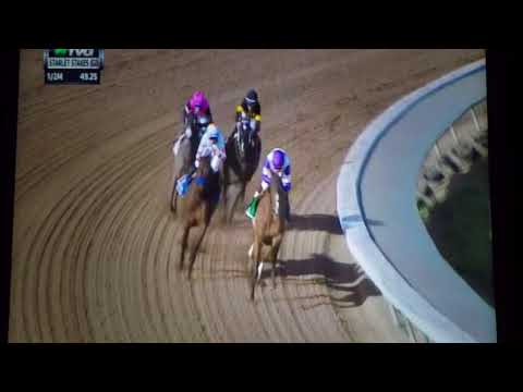 STARLET S, (G 1)STAKES $3000,000 12/9/17 - DREAM TREE !!!