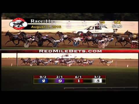 Red Mile Racetrack Race 11 8-7-2016
