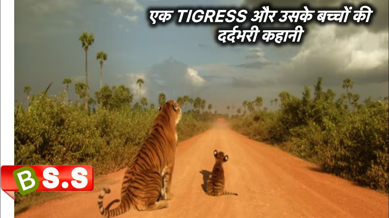 Two Brothers Movie Review/Plot in Hindi & Urdu