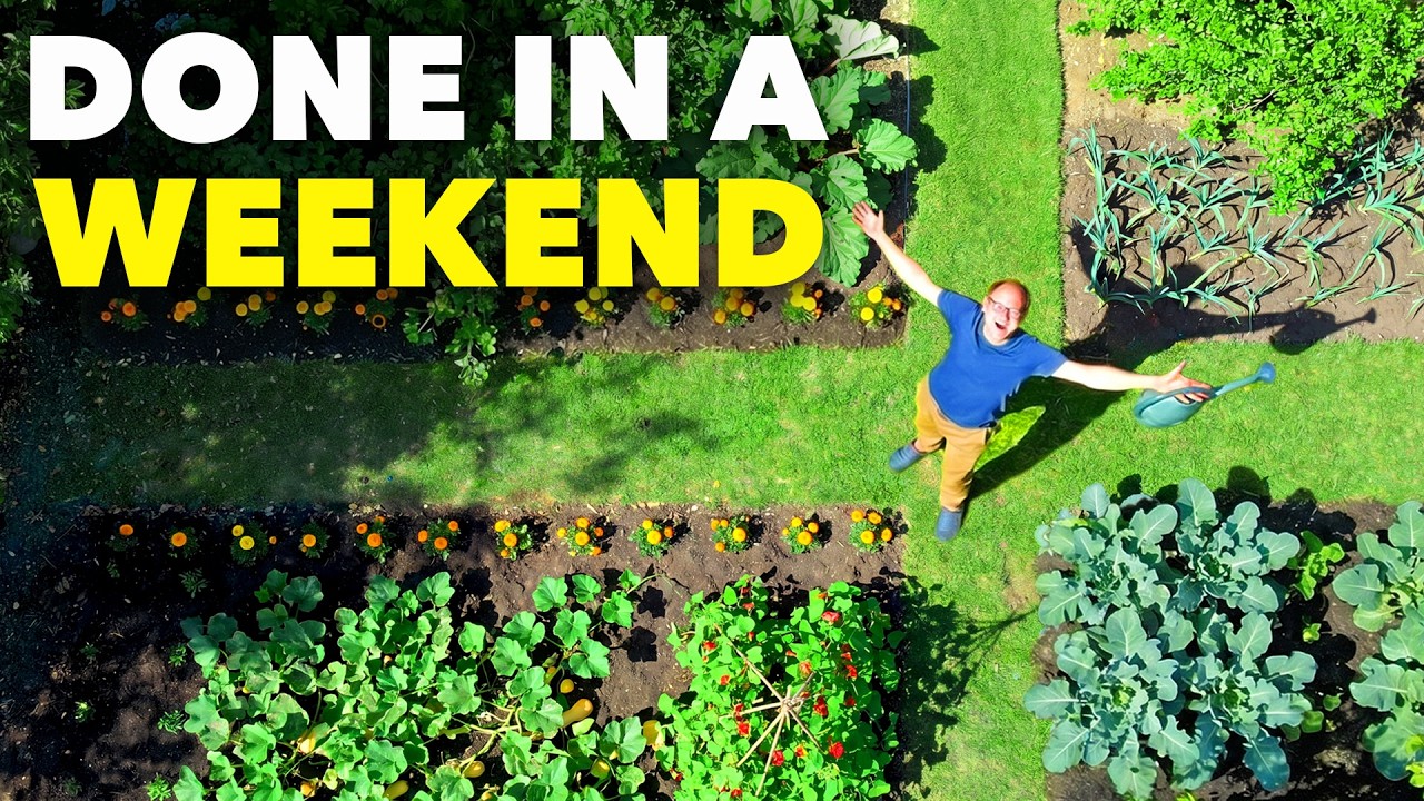 How to set up your urban garden