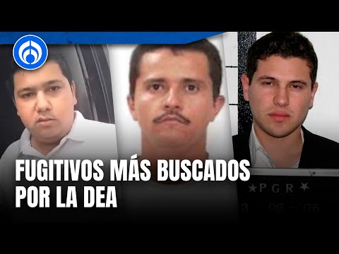 ¿Quiénes son los nuevos objetivos principales de la DEA?: 'El Mayo' no era el único